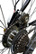 elektrische Fahrrad-Hochgeschwindigkeitsausrüstung 1000w des mittleren Antriebs-250W mit Batterie