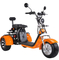 Rad-elektrische Roller-Stadt-Coco-EWG Europa 1000w 1500w 2000w Citycoco 3