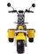 Rad-elektrischer Roller 2000w 1000w 1500w EWG Citycoco Dreirad3