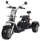 Rad-fetter Reifen-elektrischer Roller des Erwachsen-2000w 3 mit Seat für Erwachsene 12AH 20AH 40AH