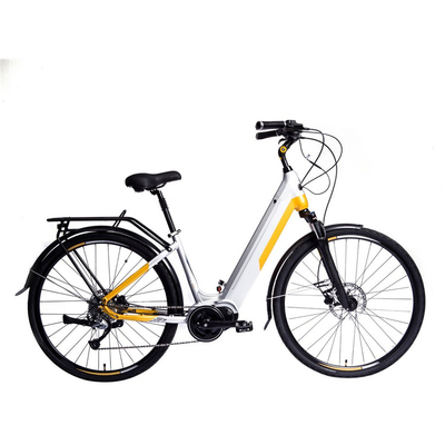 200 Watt 12 Zoll-elektrisches Fahrrad-tragbare Batterie 300 lbs-Gewichts-Grenze 30 Km/H