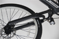 gestalten tragbarer elektrischer Rahmen Xs 36v 200w Fahrrad-XL ein 12 Zoll-Schwarzes