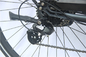 12&quot; tragbares elektrisches Fahrrad-fetter Reifen für 350 lbs 400 Fahrrad lbs-Personen-200w E