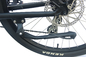des Rad-200w 2 Reifen-tragbares motorisiertes Fahrrad MPH E Antriebs-elektrischer Fahrrad-des Erwachsen-29 des Zoll-40 fetter