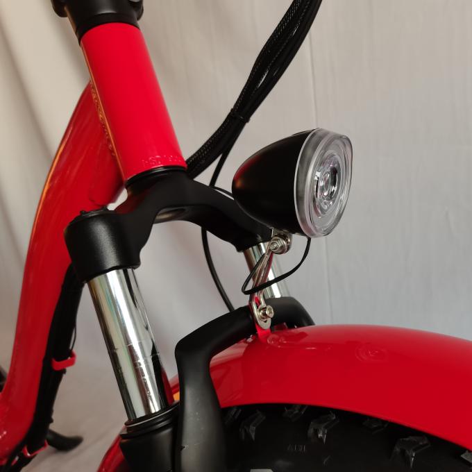 Fettes Reifen-Strand-Schnee-elektrisches Fahrrad-fetter Reifen E fahren Zyklus des elektrischer Zyklus-fetten Reifen-E rad 7
