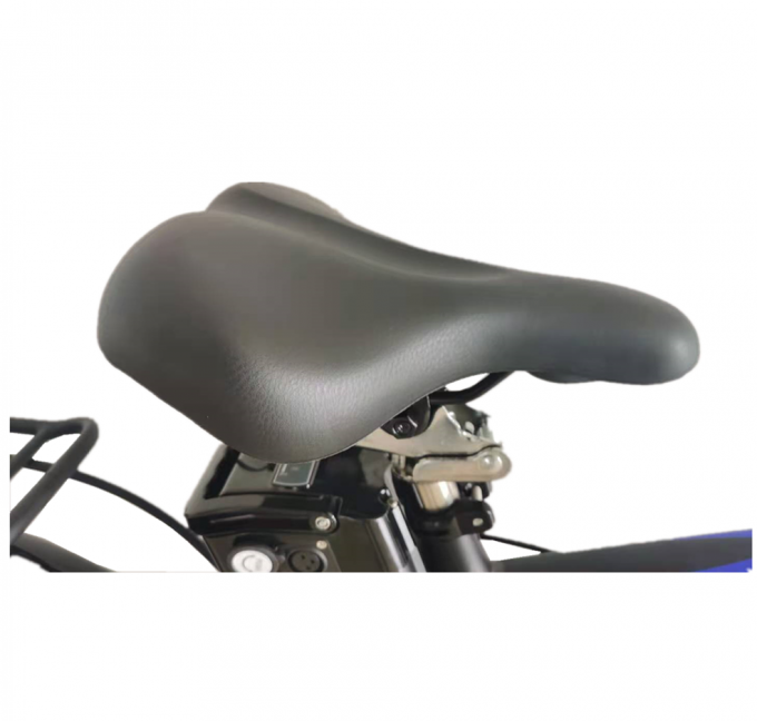Damen setzen 26 Pfeil des Zoll-elektrischen Fahrrad-Berg250w 500w des Motor36v-48v auf den Strand 2