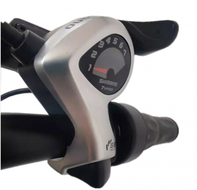 Damen setzen 26 Pfeil des Zoll-elektrischen Fahrrad-Berg250w 500w des Motor36v-48v auf den Strand 1