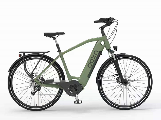 250W 750w elektrische Batterie-Doppelmotor des Stadt-Fahrrad-16.5AH für Erwachsene 12