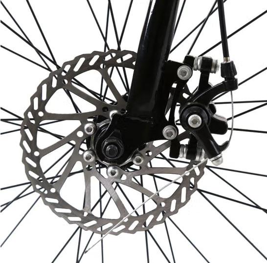 250W 750w elektrische Batterie-Doppelmotor des Stadt-Fahrrad-16.5AH für Erwachsene 1