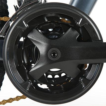250W 750w elektrische Batterie-Doppelmotor des Stadt-Fahrrad-16.5AH für Erwachsene 4