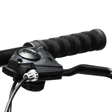 250W 750w elektrische Batterie-Doppelmotor des Stadt-Fahrrad-16.5AH für Erwachsene 6