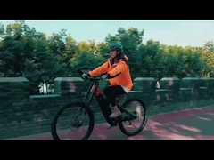 MB-01 BICICLETA ELETRICA vollgefedertes Elektrofahrrad mit Mitteldämpfer 27,5-Zoll-Elektrofahrrad 250 W