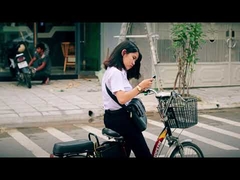 250 W kostengünstiges 48-V-LCD-Display City Electric Dirt Bike EU 20 Zoll 36 V Elektrofahrrad