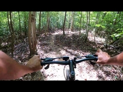 250 W 750 W Fat Tire Nabenmotor UK Lager Elektrofahrrad 29 in China