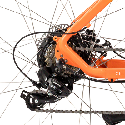 Hellgrüne Thailands elektrische Lithium-Batterie 250w des Stadt-Fahrrad-16.5AH