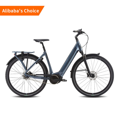 der langen Strecken-25km/H elektrisches Rad der hohen Leistung zwei City Road-Fahrrad-750w